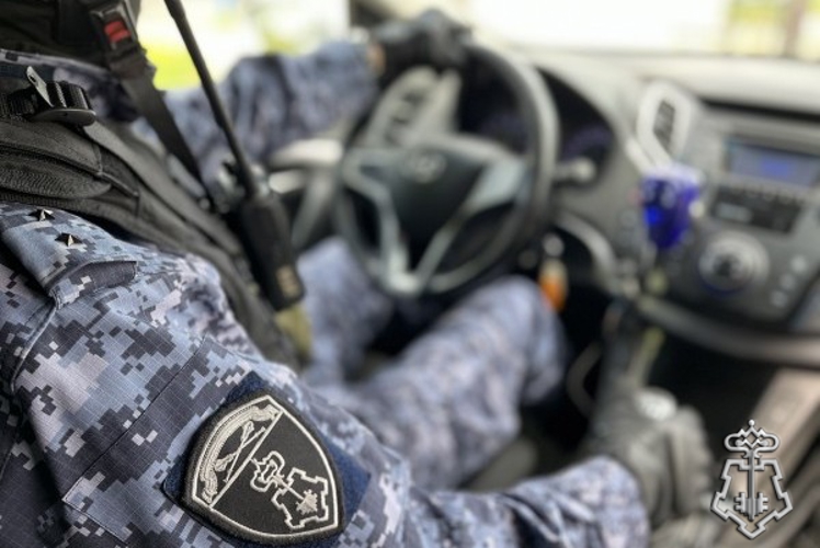 Росгвардейцы задержали подозреваемого в хищении