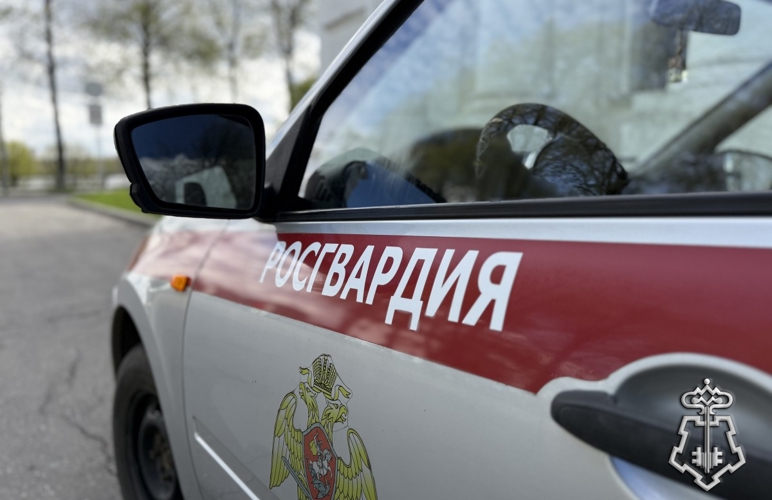 Сотрудник Росгвардии задержал подозреваемых в покушении на грабеж в Ярославле