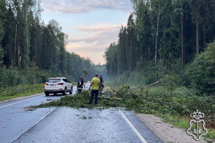 В Ярославской области росгвардейцы помогли автомобилистам