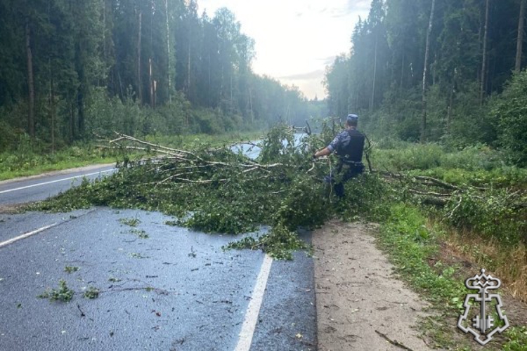 В Ярославской области росгвардейцы помогли автомобилистам