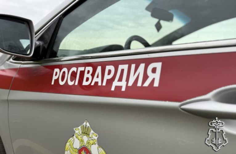 Ярославские росгвардейцы за прошедшую неделю совершили более 200 выездов по сигналам «тревога» 