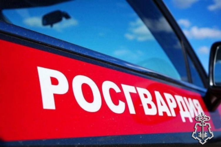 В Ярославле росгвардейцы задержали нетрезвого водителя